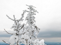 Parc national du Mont-Mégantic -Secteur de l'Observatoire